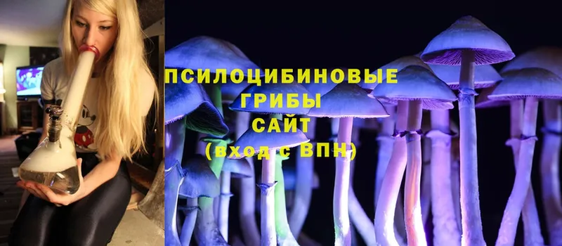 цена наркотик  Серафимович  Галлюциногенные грибы MAGIC MUSHROOMS 